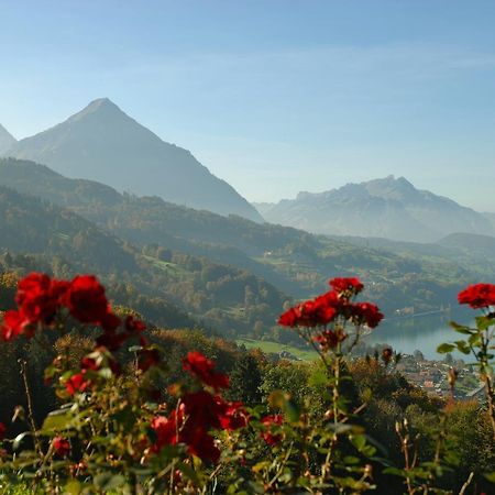 Hotel Meielisalp Leissigen ภายนอก รูปภาพ