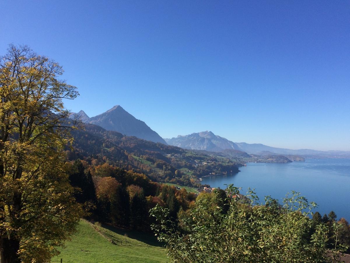 Hotel Meielisalp Leissigen ภายนอก รูปภาพ