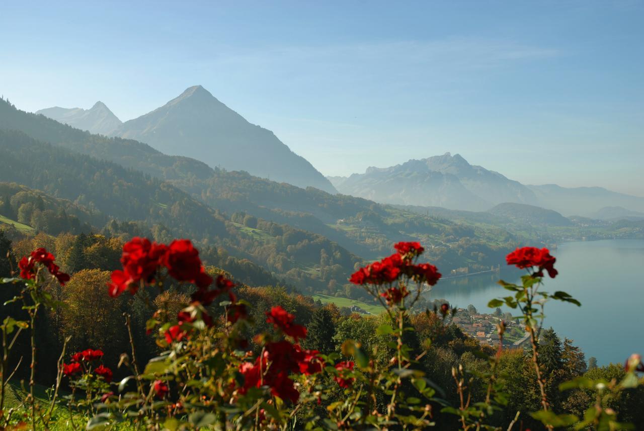 Hotel Meielisalp Leissigen ภายนอก รูปภาพ